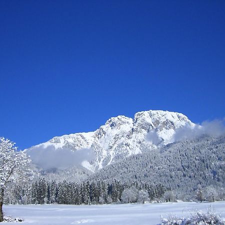 Knaller Der Reiterbauernhof Reisach Esterno foto