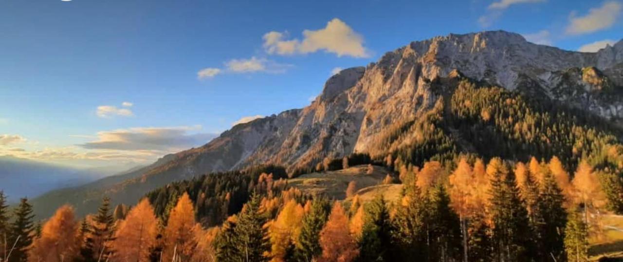 Knaller Der Reiterbauernhof Reisach Esterno foto