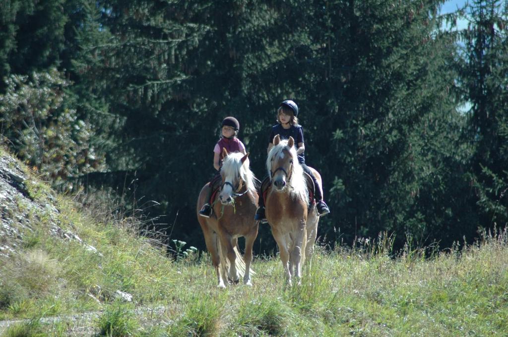 Knaller Der Reiterbauernhof Reisach Esterno foto