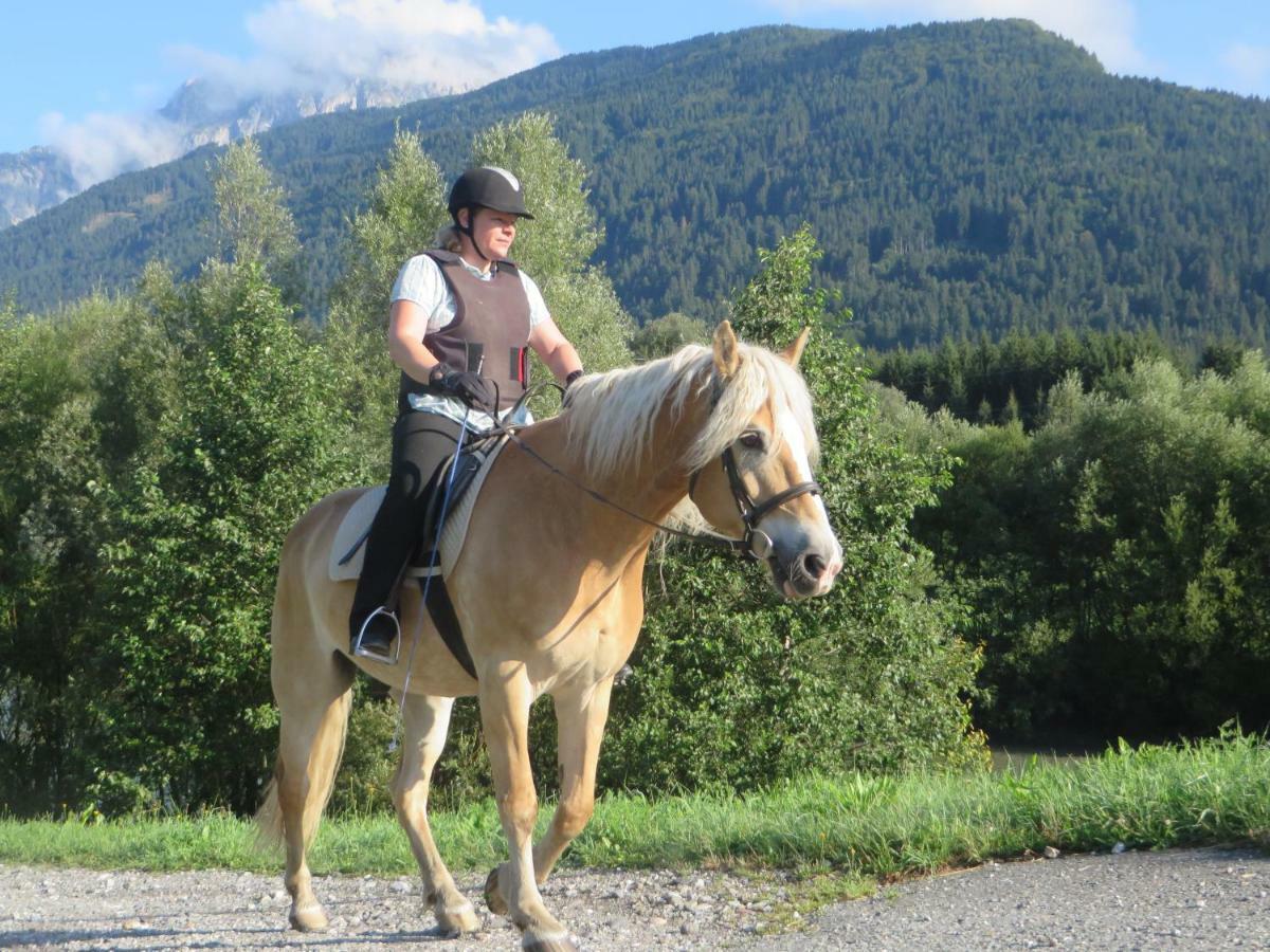 Knaller Der Reiterbauernhof Reisach Esterno foto