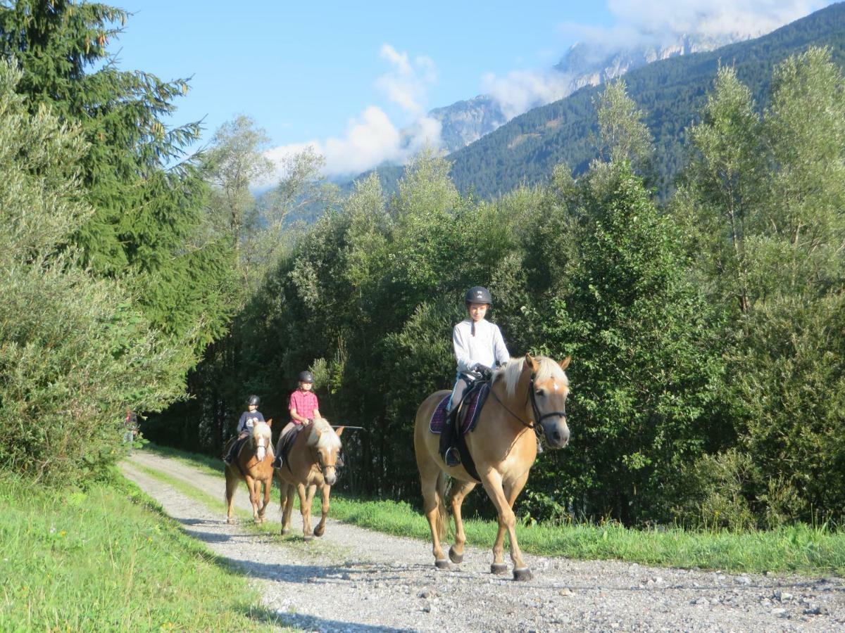 Knaller Der Reiterbauernhof Reisach Esterno foto